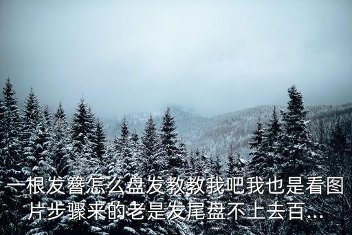 一根發簪怎么盤發教教我吧我也是看圖片步驟來的老是發尾盤不上去百...