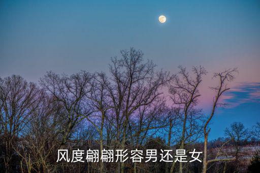 風(fēng)度翩翩的意思,什么是風(fēng)度翩翩?看這里!