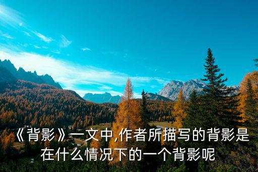 《背影》一文中,作者所描寫的背影是在什么情況下的一個背影呢