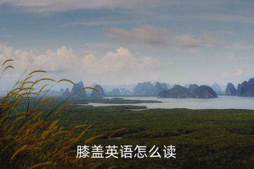 膝蓋英語怎么讀