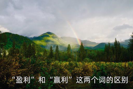 “盈利”和“贏利”這兩個詞的區(qū)別