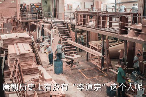 唐朝歷史上有沒有“李道宗”這個(gè)人呢