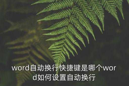 word自動換行快捷鍵是哪個word如何設置自動換行