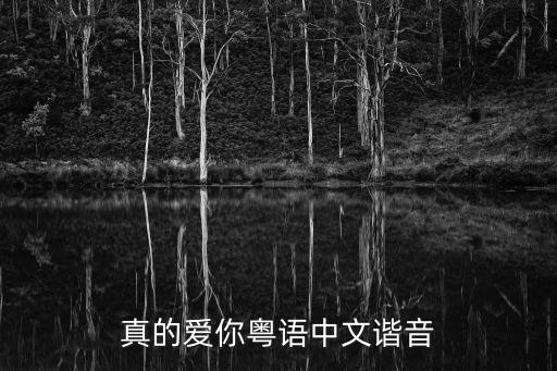 真的愛你粵語中文諧音