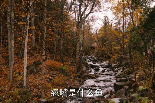 翹嘴,清蒸翹嘴魚詳細(xì)步驟
