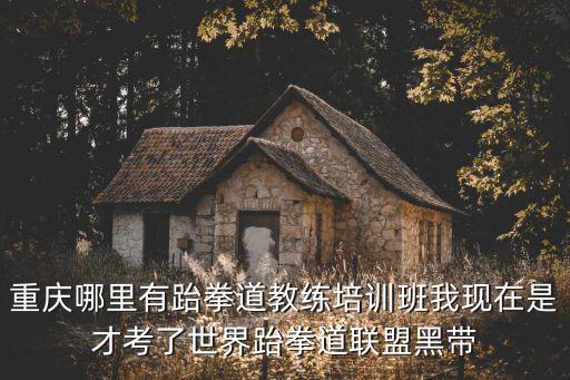重慶哪里有跆拳道教練培訓(xùn)班我現(xiàn)在是才考了世界跆拳道聯(lián)盟黑帶