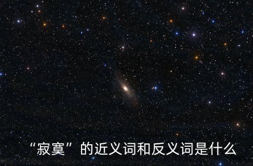 寂寞造句,寂寞的反義詞:熱鬧