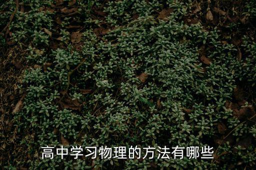 高中物理學習方法，高中物理有哪些好的學習方法