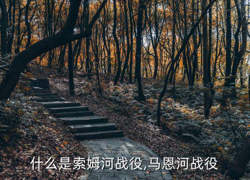 馬恩河戰(zhàn)役,德軍在索姆河戰(zhàn)役中傷亡過大再也沒發(fā)起進攻戰(zhàn)爭