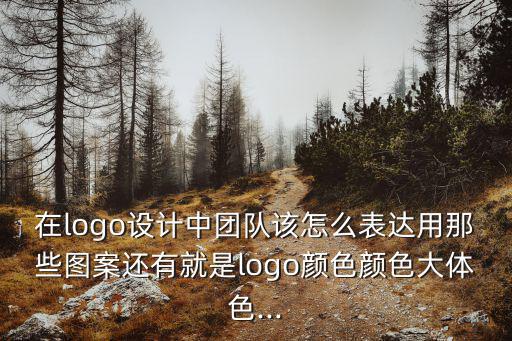 在logo設計中團隊該怎么表達用那些圖案還有就是logo顏色顏色大體色...