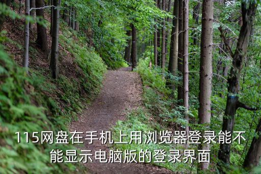115網(wǎng)頁版登陸,115網(wǎng)盤手機(jī)客戶端怎么免費(fèi)領(lǐng)空間?
