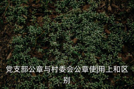 黨支部公章與村委會公章使|用上和區別