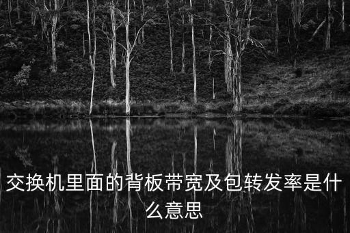 交換機里面的背板帶寬及包轉發率是什么意思