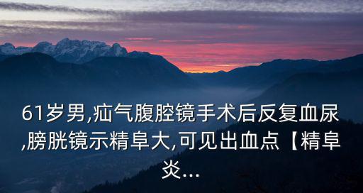 61歲男,疝氣腹腔鏡手術(shù)后反復(fù)血尿,膀胱鏡示精阜大,可見出血點【精阜炎...