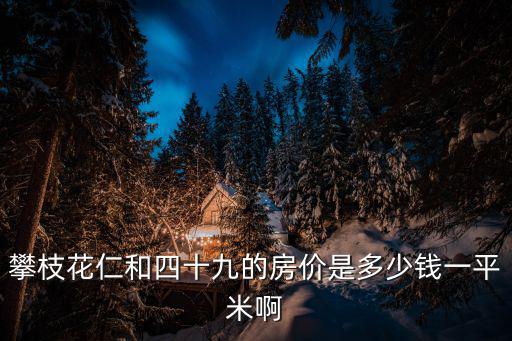 攀枝花仁和四十九的房價是多少錢一平米啊