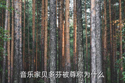 音樂家貝多芬被尊稱為什么