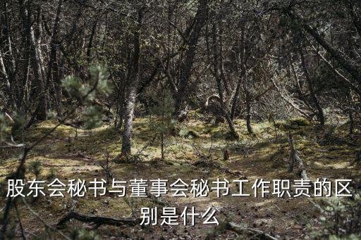 股東會秘書與董事會秘書工作職責的區別是什么