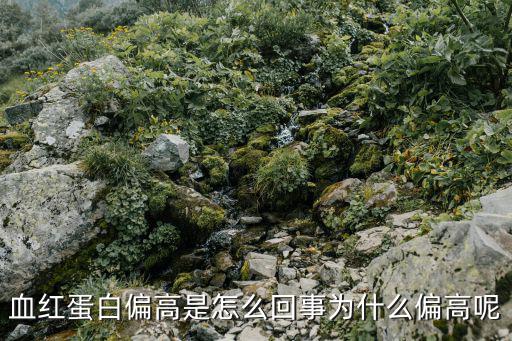 血紅蛋白偏高是怎么回事為什么偏高呢