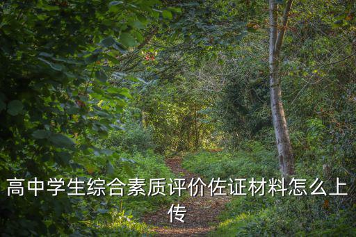 高中學生綜合素質評價佐證材料怎么上傳