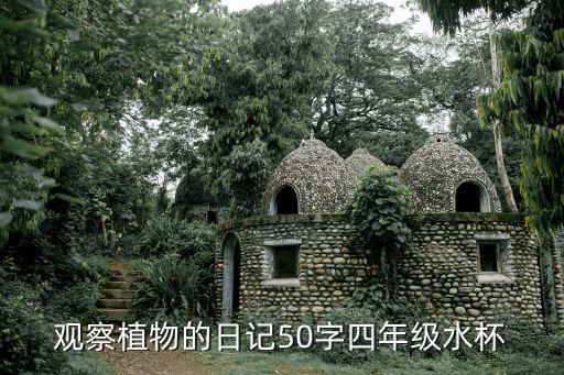 觀察植物的日記50字四年級水杯