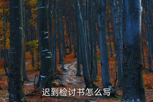 遲到檢討書怎么寫
