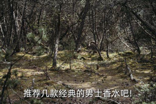 經(jīng)典男香,男士香水哪款比較經(jīng)典?我推薦范思哲同名香水