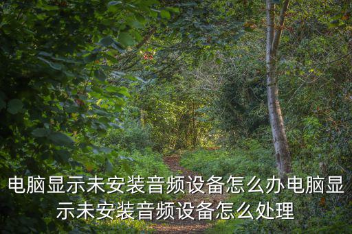 電腦未安裝音頻設(shè)備怎么解決,電腦未裝音頻設(shè)備怎么辦?