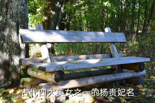 宮廷美女楊貴妃,楊玉環(huán)與西施貂蟬并稱中國四大美女之一