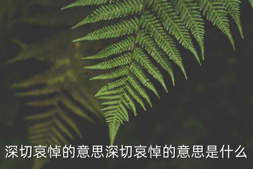 哀悼,學校國旗徐徐下降一半哀悼是什么意思?