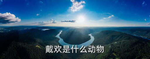 塔斯馬尼亞惡魔,大嘴怪只分布于澳洲塔斯馬尼亞州
