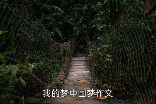 我的夢中國夢作文