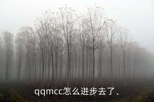 qqmcc,谷歌或火狐瀏覽器無(wú)法訪問(wèn)問(wèn)題已解決