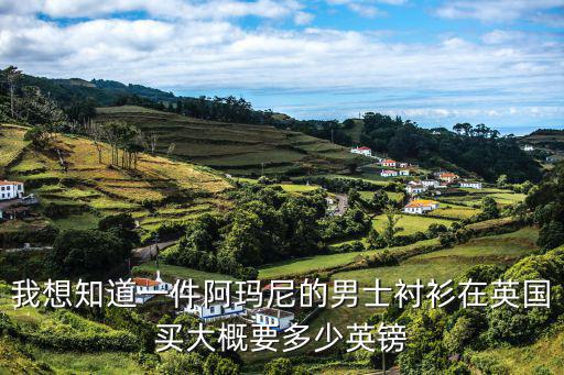 我想知道一件阿瑪尼的男士襯衫在英國買大概要多少英鎊