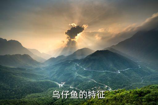 烏仔,冬至前最適于捕撈收集魚苗烏仔魚肉質(zhì)豐厚味鮮美