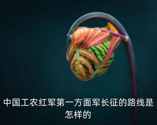中國工農紅軍第一方面軍長征的路線是怎樣的