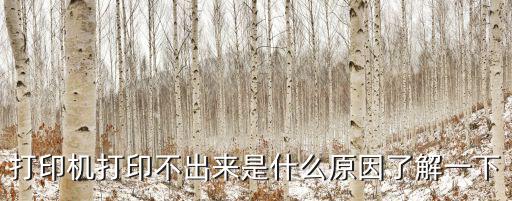 打印機打不出來,為什么打印不出東西?