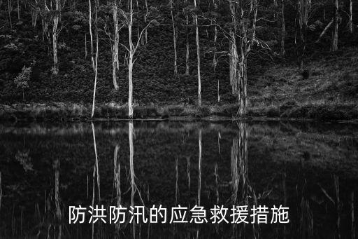 防洪防汛的應急救援措施