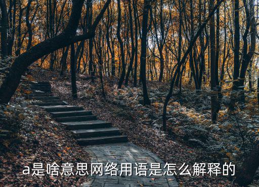 a是啥意思網絡用語是怎么解釋的
