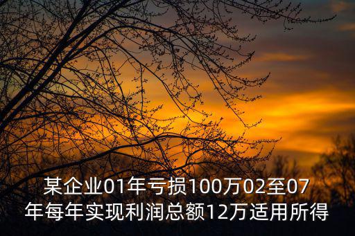 某企業01年虧損100萬02至07年每年實現利潤總額12萬適用所得