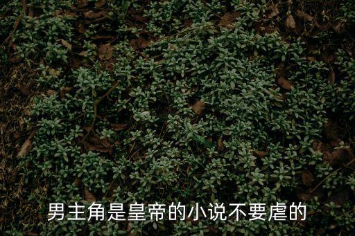 男主角是皇帝的小說不要虐的