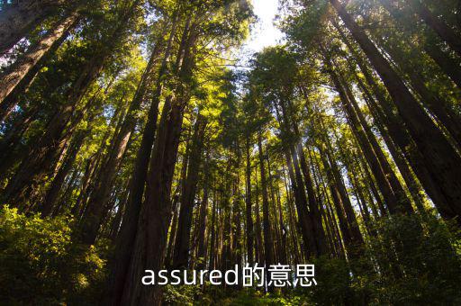 assured的意思