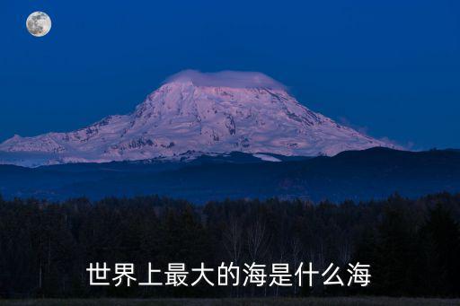 世界上最大的海是什么海