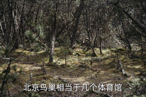 北京鳥巢相當于幾個體育館
