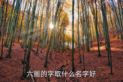 六畫的字取什么名字好