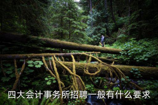 四大會(huì)計(jì)事務(wù)所招聘一般有什么要求