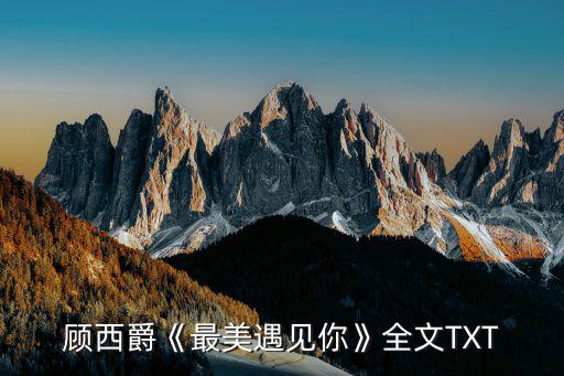 顧西爵《最美遇見你》全文TXT