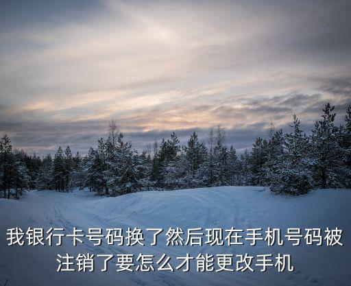 廣東一網通辦官網，沒成年 怎么辦理網絡銀行啊