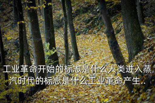 工業革命開始的標志是什么人類進入蒸汽時代的標志是什么工業革命產生...