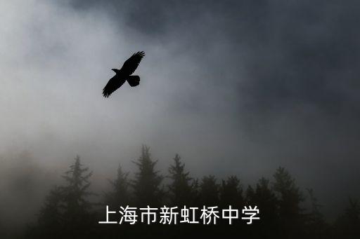 上海市新虹橋中學