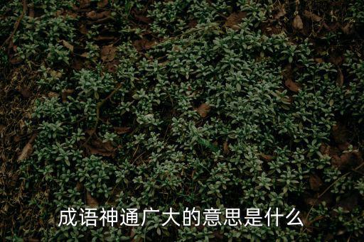 成語神通廣大的意思是什么